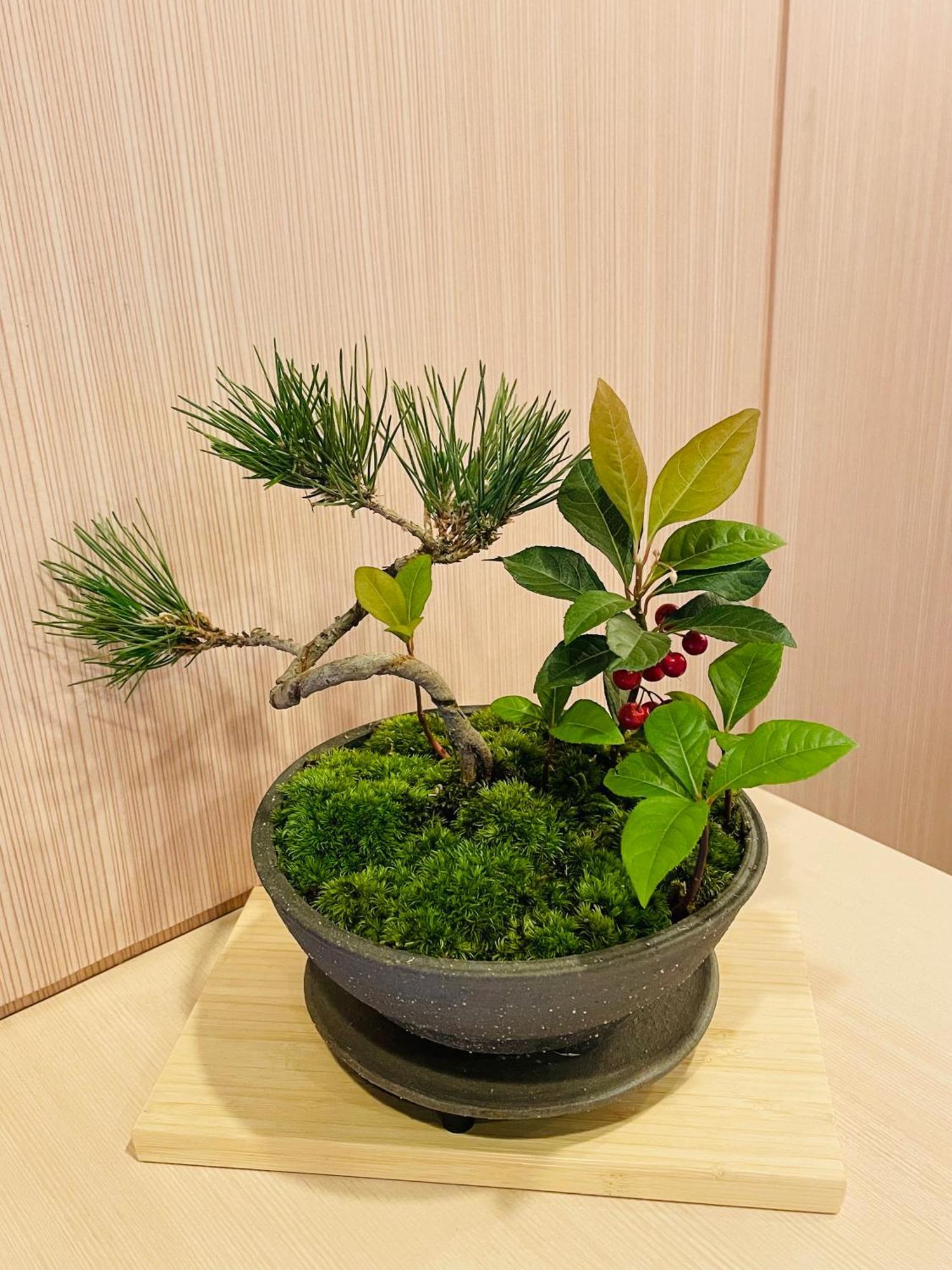 Kyoto Sanjo Ohashi Hotel Kültér fotó